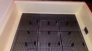 Часть 1. Подготовка инкубатора Золушка к закладке