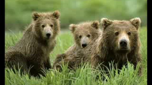 Чокурдах смотреть онлайн