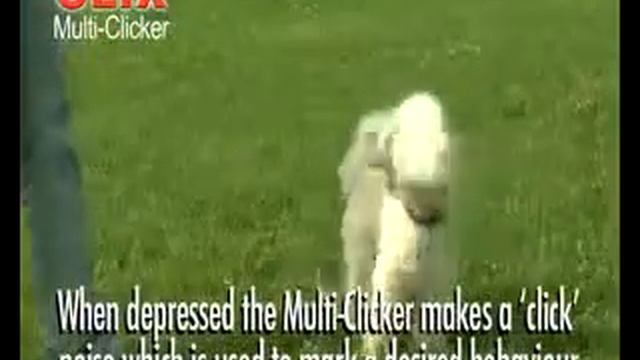 Кликер за обучение с регулируем звук CLIX от Company of Animals, Англия смотреть онлайн