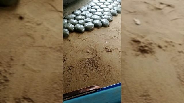 Садовая дорожка своими руками