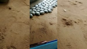 Садовая дорожка своими руками