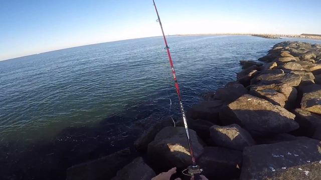 How to Fish a Berkley GULP! | Saltwater Fishing HOW TO смотреть онлайн