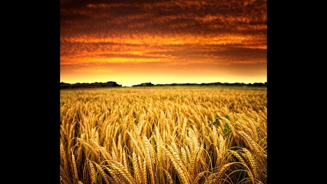 Я ГОРЖУСЬ ЧТО Я ЖИВУ В РОССИИ!!!