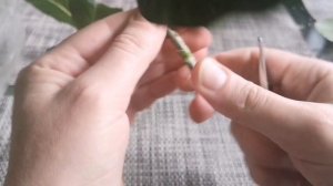 Гардения. Черенкование и укоренение гардении. 11.05.2023