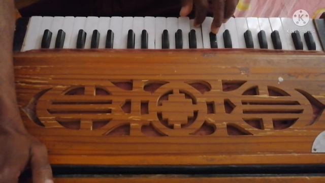 Harmonica solo by Gayan Rangajeewa | ඇසට හසුවන මායිමේ | Instrumental of Esata hasuwana mayime смотреть онлайн