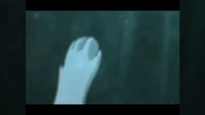 Смерть Синей Звезды ( Коты - Воители ) - Коматоз