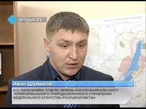В Бурятии у пяти браконьеров изъяли полторы тонны омуля