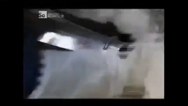 come è fatto prosciutto cotto