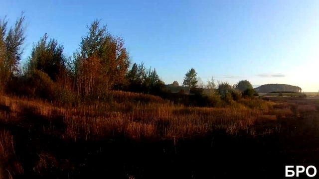 Охота на утку с подхода в Беларуси 2019. Охота на утку с дратхааром смотреть онлайн