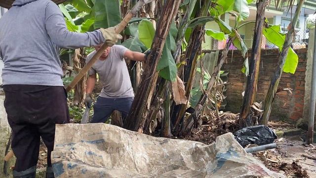 clean up Transformation the back garden house | clean up too much garbage quickly crazy overgrowth смотреть онлайн