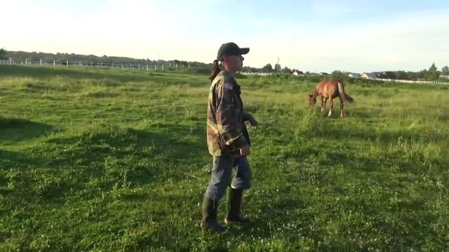 Кобыла ожеребилась в поле. О выжеребке. Внешние признаки жерёбости. смотреть онлайн