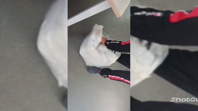 Привет от Белого Мишки смотреть онлайн