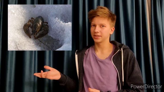 Разоблачение, советы и раки... много раков🦞