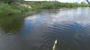 РЫБАЛКА НА ХИЩНИКА ЛЕТОМ. ПРОШЛИ СПЛАВОМ ПО РЕКЕ