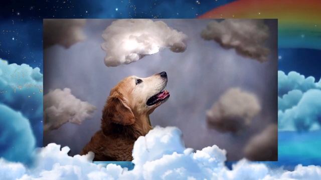 Мост радуги смотреть онлайн