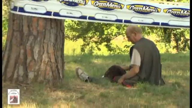 21° trofeo tartufo estivo смотреть онлайн
