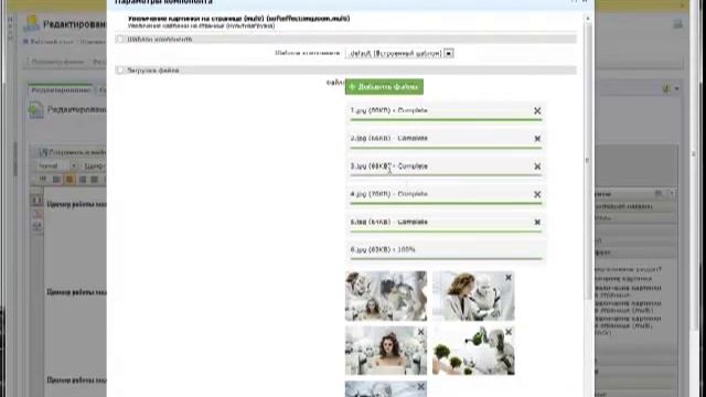 Увеличение картинки на странице смотреть онлайн