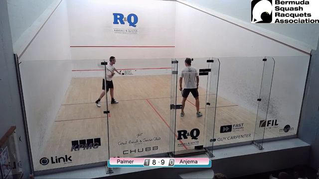 David Palmer vs Laurens Jan Anjema - Finals смотреть онлайн