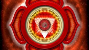 Матрица П  Гаряева  Активация Муладхары