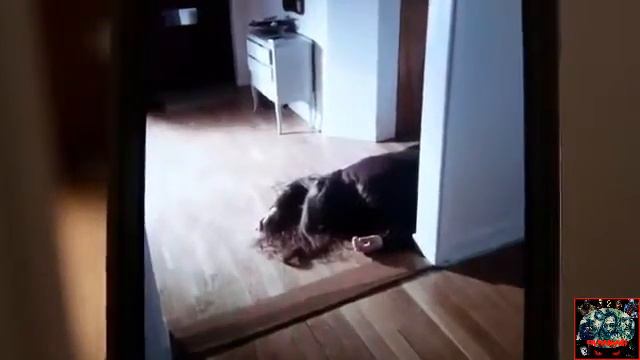 Corto horror - Cam closer (David Sandberg) смотреть онлайн