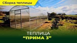 Сборка и установка теплицы "Прима 3"