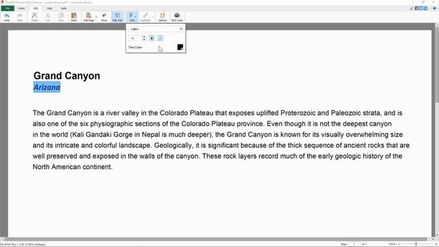 Adding and Editing PDF Text | PicoPDF PDF Editor Tutorial смотреть онлайн