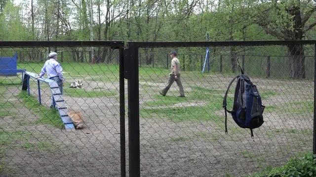 Экзамен по ЗКС. Чехословацкий влчак Луна. смотреть онлайн