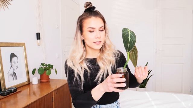 KASVIOSTOKSIA✨ смотреть онлайн