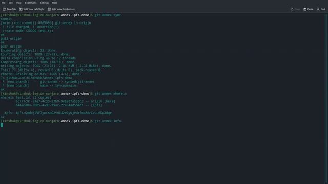 Demo: using git-annex with IPFS special remote смотреть онлайн