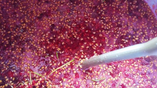 Дому - порядок!