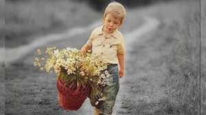 Дорогою добра