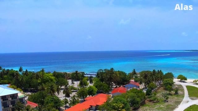 k. Maafushi / Maldives смотреть онлайн