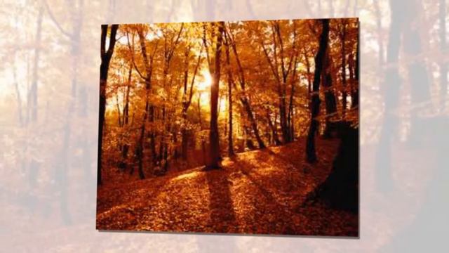 ЛОТОS - Через год смотреть онлайн