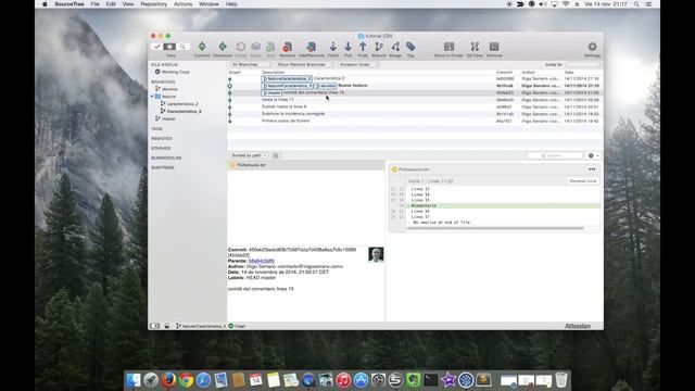 Git con SourceTree #5 trabajo con varias ramas смотреть онлайн