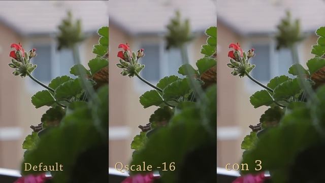 Canon t2i and Magic Lantern Bit rate samples смотреть онлайн