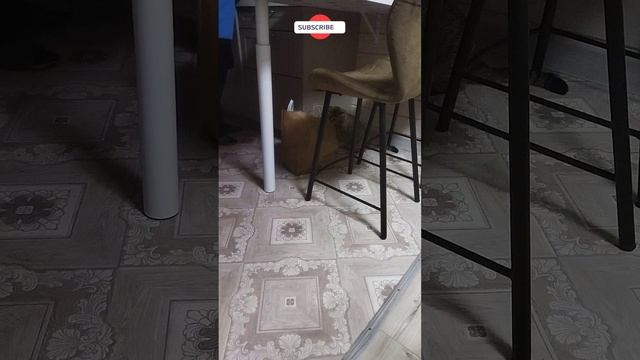 Васька шуршит смотреть онлайн