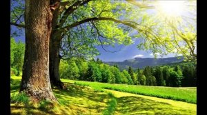 исцеляющая музыка для почек