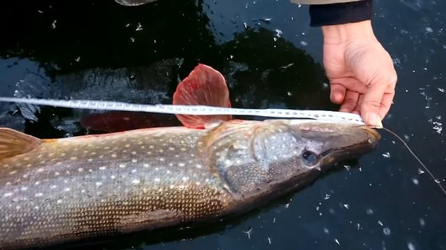 SPORT FISHING смотреть онлайн