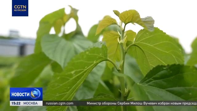 Экологичное сельское хозяйство смотреть онлайн