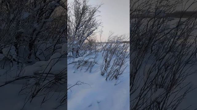 Поездка на снегоходе Ямаха VK 540 4 до избы смотреть онлайн