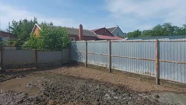 На что нужно обратить внимание при покупке вьетнамских поросят смотреть онлайн