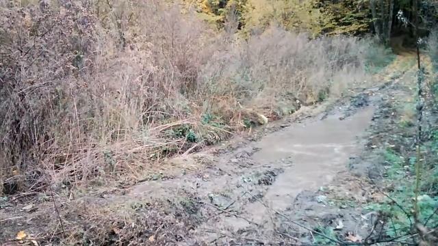 Квадроцикл 150сс смотреть онлайн