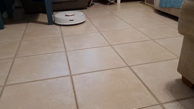 Robot Aspirateur Xiaomi Roborock S50 en fonctionnement. смотреть онлайн