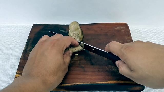 008 hongo nejo Seta de cañadita, Seta de caña, Seta cañareja hongos silvestres mexicanos смотреть онлайн