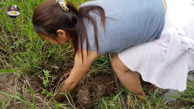 Today I go rice field and Fishing in mud Home Kh смотреть онлайн