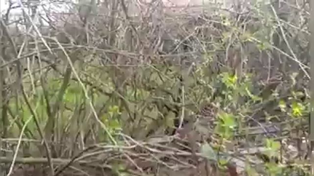 ЧАСТЬ 2# Я поговорил с девчонкай и оказалось что тот мужык иё папой 😱 смотреть онлайн