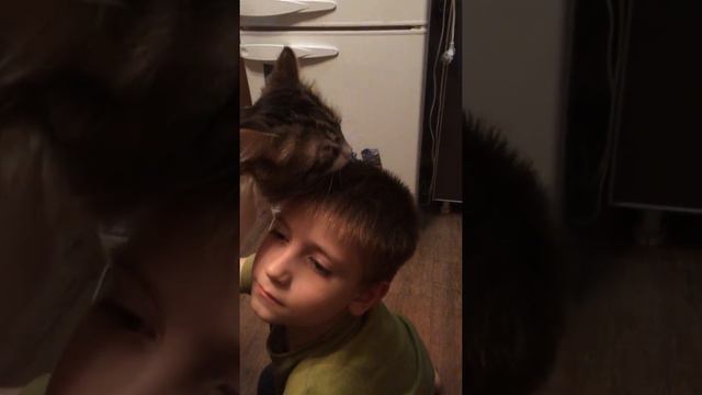 ANIMAL LOVE