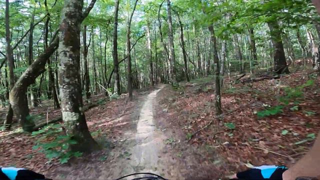 DuPont State Forest, Ridgeline (chest cam) after Tropical Storm Fred смотреть онлайн