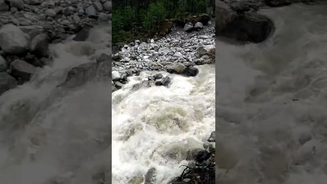 Река Цей-дон. (4) Эко-тропа. 6.06.2019 смотреть онлайн
