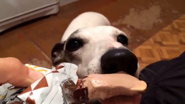 Oct 15, 2015 смотреть онлайн